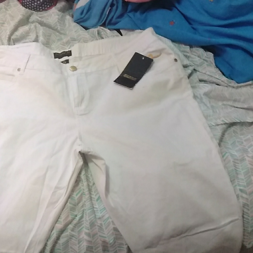 Ladies pants